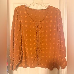 Women’s Plus SHEIN Sz 3x Long Sleeve Blouse Brown Swiss Dot Lace